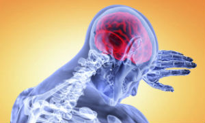 brain exercise